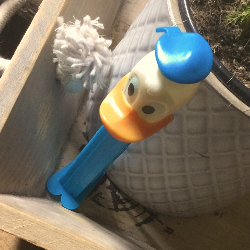 Disney Donald Duck Walt vintage pez dispenser collector craft art party